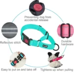 Reflective Martingale Dog Collar With Quick Release Buckle - Image 4