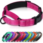 Neoprene Padded Reflective Martingale Dog Collar