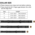 Military Nylon Dog Collar With Handle - Image 4