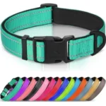 Metal D-Ring L Reflective Neoprene Dog Collar
