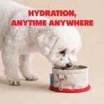 Collapsible 400ML Clip-On Travel Pet Bowl - Image 2