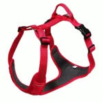 XL Orange No-Pull Dog Harness - Image 2