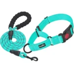 Reflective Martingale Dog Collar With Quick Release Buckle