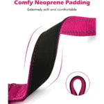 Neoprene Padded Reflective Martingale Dog Collar - Image 3