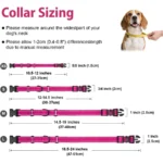 Neoprene Padded Reflective Martingale Dog Collar - Image 6