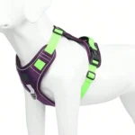 Heavy-Duty No-Pull Dog Harness With Control Handle - Image 6