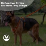 XL Orange No-Pull Dog Harness - Image 5