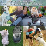 1500ML XL Collapsible Pet Bowls 2-Pack - Image 4