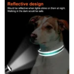 Metal D-Ring L Reflective Neoprene Dog Collar - Image 5