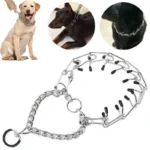 Detachable Prong Rubber-Tipped Adjustable Training Collar - Image 5
