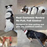 XL Orange No-Pull Dog Harness - Image 3