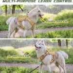 Military Elite Tactical Dog Harness Set - Image 3