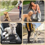 Heavy Duty Shock Absorbing Leashes with Car Seatbelt - Image 9