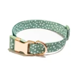 Polka Dot Print Dog Collar with Metal Buckle and 6ft leash Teal Green - Image 2