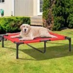 Moisture Proof Elevated Dog Bed with Steel Frame