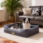 M-3XL Rectangular Orthopedic Dog Sofa Bed with Washable Cover - Image 2