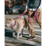 Reflective Martingale Escape-Proof Collar with 2 Handles - 16"-20" and Leash (5ft x 1") - Image 2