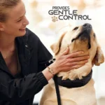 Professional Adjustable Pinch Training Collar for Dogs - Image 4