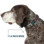 Metal Buckle Dog Collar with Seatbelt Clasp - 15 to 24 Inches 1.0 Inch Wide - Image 6
