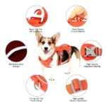 Escape Proof Nylon Secure Reflective Dog Harness - Image 5