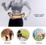 Orange Adjustable Hands-Free Dog Leash - Image 3