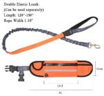 Orange Adjustable Hands-Free Dog Leash - Image 5