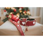 Dog collar Hunter Love Red XS 24-28 cm - Image 6