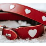 Dog collar Hunter Love Red XS 24-28 cm - Image 5