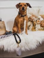 Dog Rope Leash - Emerald - Image 2