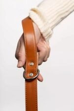 Sierra Sunrise Vegan Leather Dog Leash - Image 3