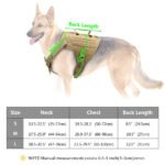 Nylon Tactical Dog Harness, Collar & Leash - Image 2