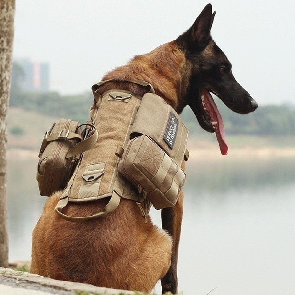 file-21.jpg Tactical Dog Backpack Harness - Image 1