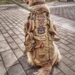 Tactical Dog Backpack Harness - Image 4