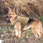 Nylon Tactical Dog Harness, Collar & Leash - Image 5