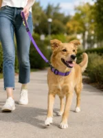 Waterproof PVC Dog Collar & Leash Set with Heavy-Duty Swivel Clip - Image 5