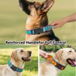 Waterproof Dog Collar with Reinforced Control Handle & Heavy-Duty D-Ring - Image 7