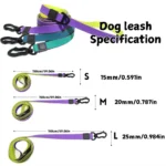 Waterproof PVC Dog Collar & Leash Set with Heavy-Duty Swivel Clip - Image 4