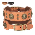 Studded Genuine Leather Dog Collar with Spikes for Medium Dogs