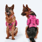 Breathable Nylon Dog Harness Set with Collar and Leash - Image 5