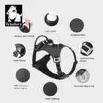 LED Harness for Dogs with 19 Light Modes and a Tracker Holder - Image 3