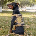 Large Dog Tactical Vest Harness with Leash for German Shepherds - Image 4