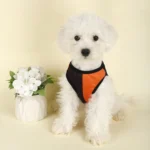 Funny Pumpkin Print Dog Shirt for Halloween - Image 3