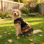 Black Mesh Dog Dress with Pumpkin Print and Big Bow