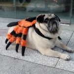 Furry Spider Costume for Small Dogs and Cats with Extra Legs - Image 2