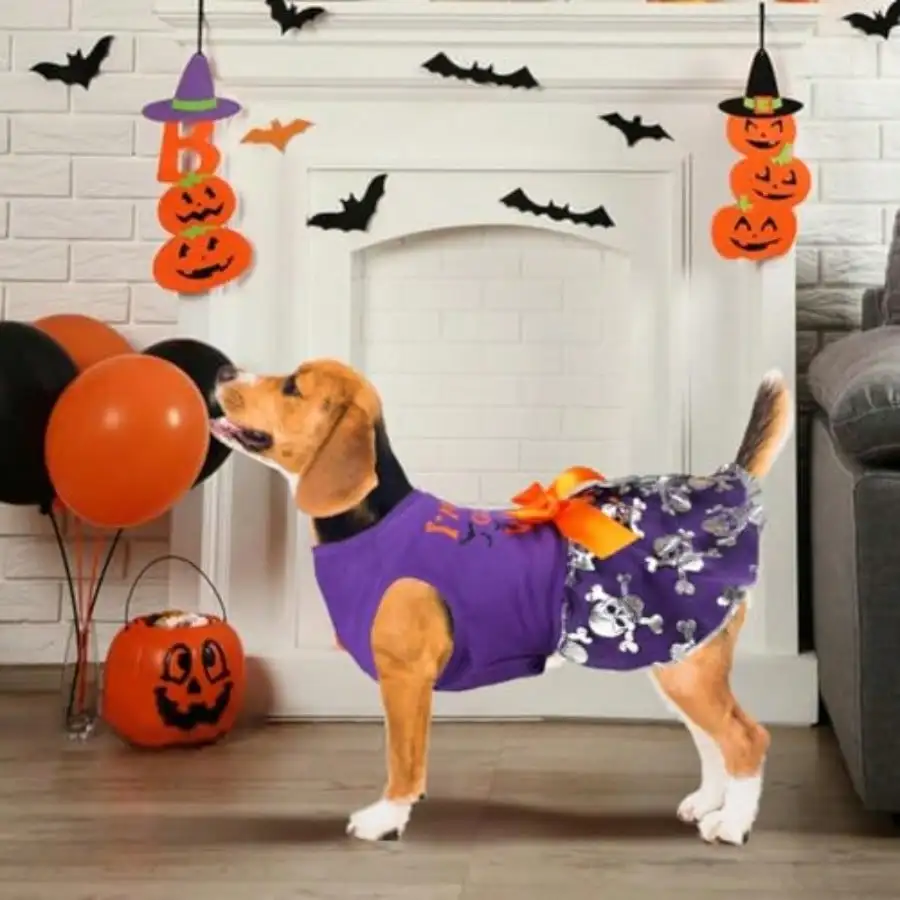 kf-S3dd1db9d0e1f429eb4a5e77b47545f05g Halloween Dog Dress with Bow in Pumpkin, Witch or Bat Style - Image 1