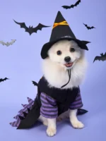 Adjustable Halloween Coat Costume for Dog Cosplay