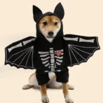 Cloth Bat Costume for Dogs in Four Sizes up to 11 kg