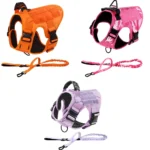 Tactical Harness and Leash Set with Handle for Medium to Large Dogs - Image 4