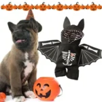 Cloth Bat Costume for Dogs in Four Sizes up to 11 kg - Image 4
