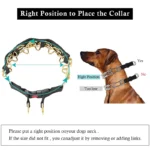 Stainless Steel Prong Collar with Quick-Release Buckle for Dogs - Image 4